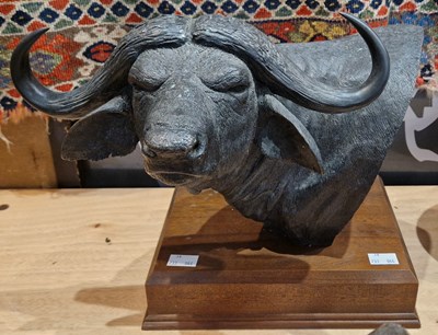 Lot 467 - James Douglas, a bronze sculpture of a buffalo...