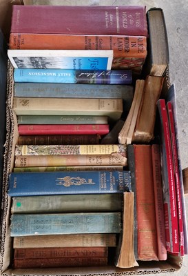 Lot 520 - A box of assorted books to include 'Alice in...