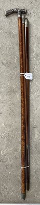 Lot 615 - A Chinese silver topped walking cane, the...