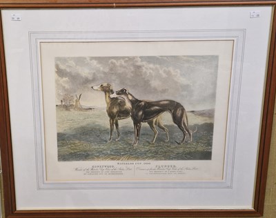 Lot 656 - Hunt and Son Waterloo Cup 1880, Honeywood and...