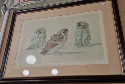 Lot 680 - Keith Brockie (20th Century) Tawny Owl chick...