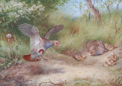 Lot 223 - After Archibald Thorburn (1880-1935) "Summer",...