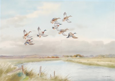 Lot 243 - Robert W. Milliken (b.1920) Mallard over the...