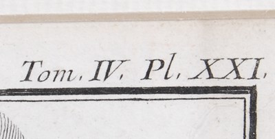 Lot 216 - François-Nicolas Martinet (1731-1800) Kakatoes,...