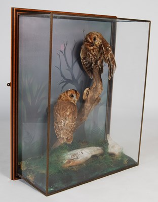 Lot 157 - A taxidermy display case containing two tawny...