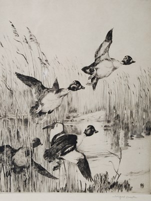 Lot 219 - Winifred Austen (1876-1964) Goldeneyes etching,...