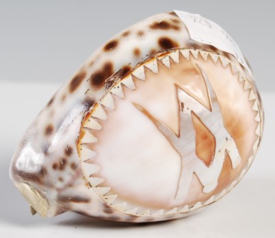 Lot 138 - A 19th century Scottish cowrie shell snuff...