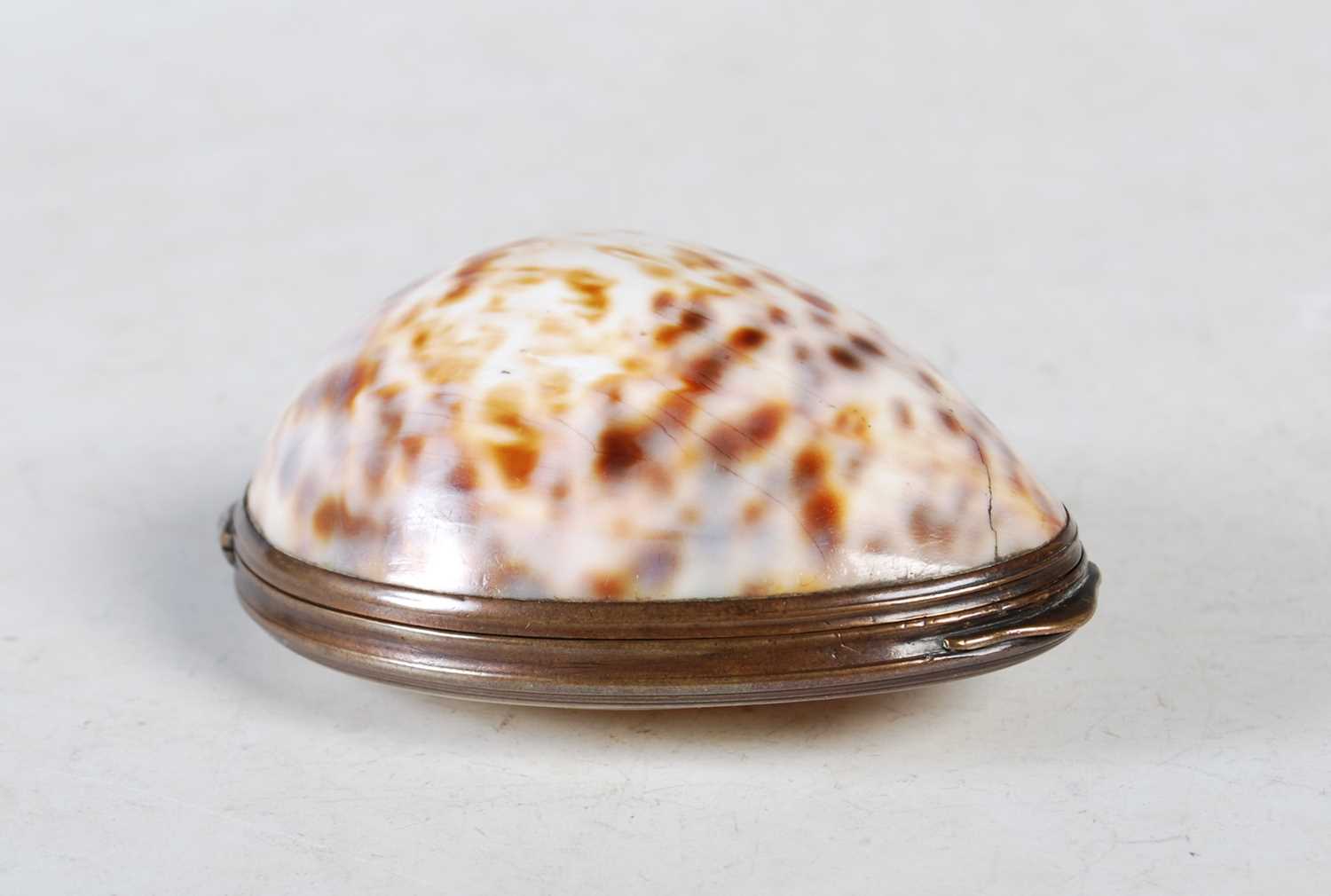 Shell Snuff Box England Lot 322 - An early 19th century cowrie shell snuff box,