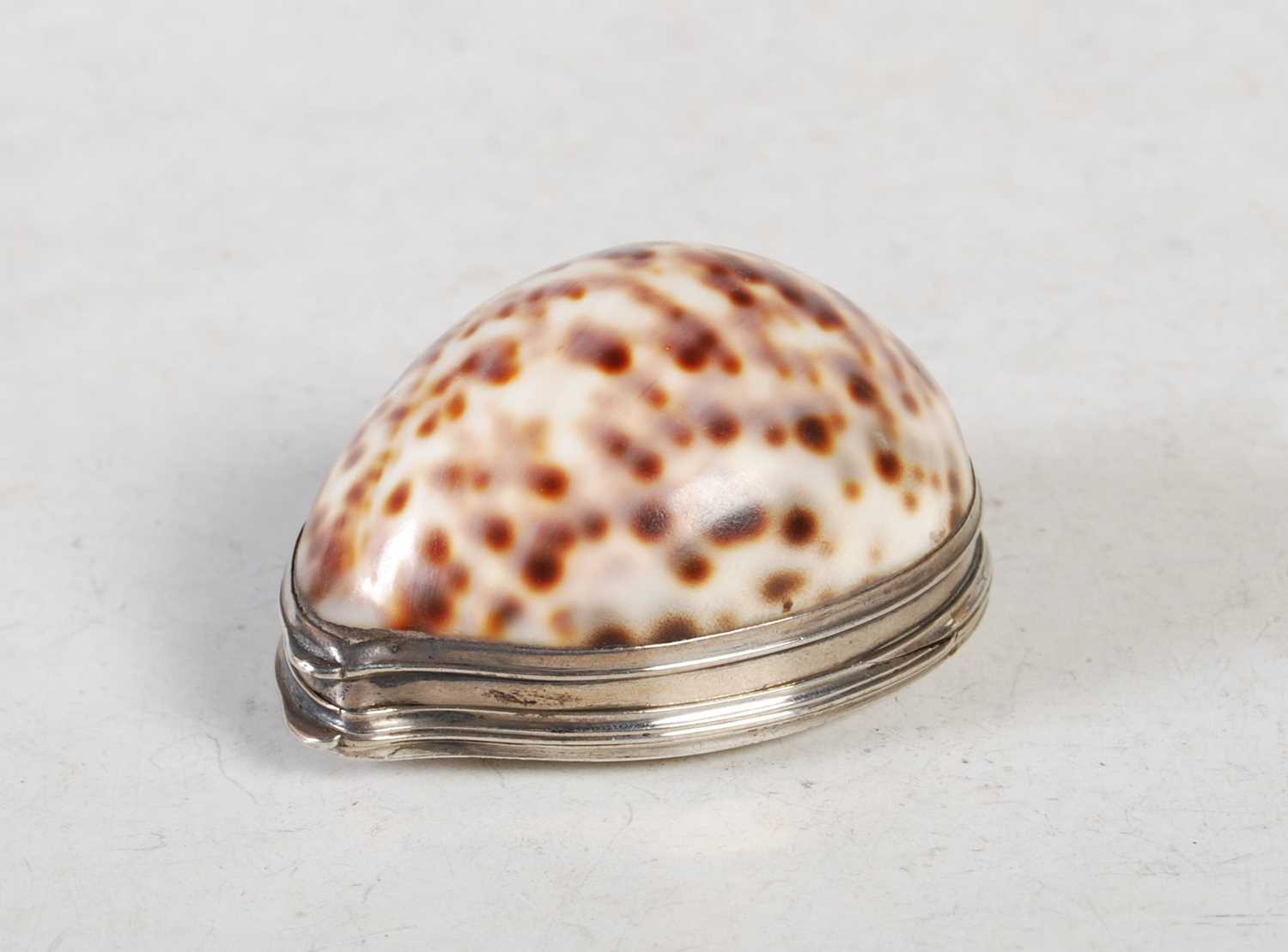 Shell Snuff Box England Lot 255 - A late 18th century cowrie shell snuff box,