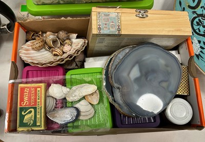 Lot 336 - Three boxes - assorted shells, agate slices etc