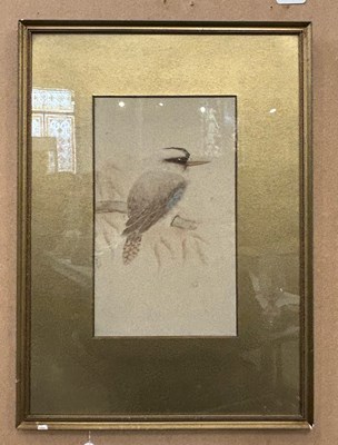 Lot 545 - Alice Smith (Australian)  
Kookaburra on a...