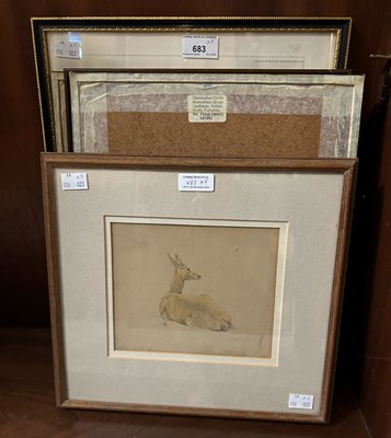 Lot 683 - William Strutt  
A Deer 
watercolour,...