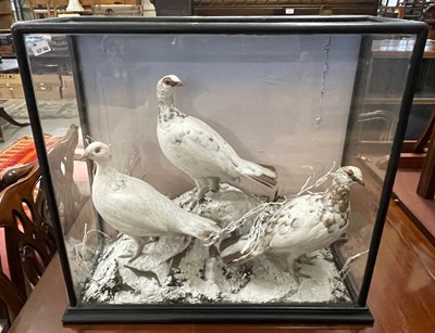 Lot 421D - A taxidermy display case containing three...