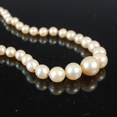 Lot 656 - An early 20th century pearl graduated...