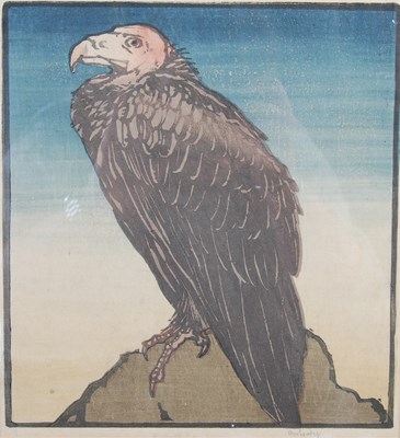 Lot 393 - Allen William Seaby (1867-1953) Vulture colour...