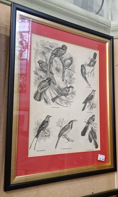 Lot 702 - Four framed prints from The Pictorial Museum...