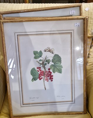 Lot 832 - Three framed and glazed botanical prints, 51cm...