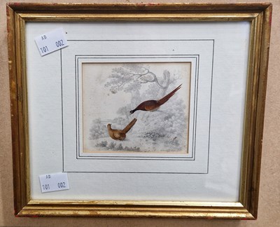 Lot 691 - B. Fenning Cock and hen pheasants pencil and...