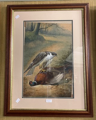 Lot 625 - Early 20th century British School 
Peregrine...
