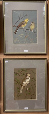 Lot 638 - Ralston Gudgeon RSA RSW (1910-1984) Yellow...