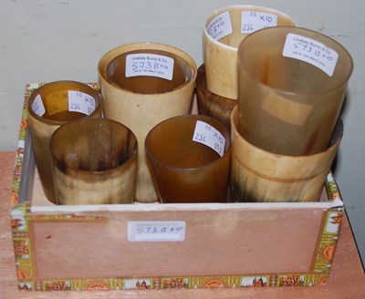 Lot 573B - A group of ten various pale and blonde horn...