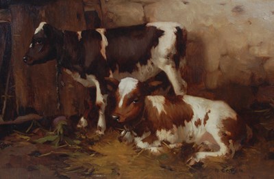 Lot 417 - David Gauld (1865-1936) Two Ayrshire calves...
