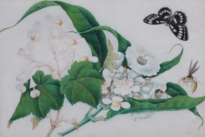 Lot 826 - A Chinese watercolour on pith paper, Qing...