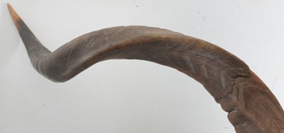 Lot 193 - A taxidermy Kudu head by Roland Ward, London...