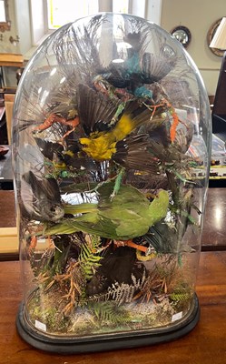 Lot 934 - A late 19th century taxidermy exotic bird...