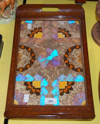 Lot 354 - A vintage butterfly specimen tray