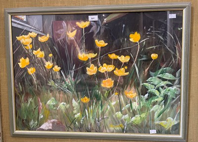 Lot 641 - Sheevaun M Mackintosh 
Buttercups 
acrylic,...