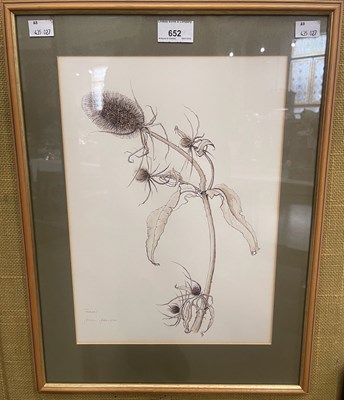 Lot 652 - June Johnson Teasel Ink, signed lower left...