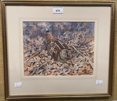 Lot 679 - Brian Rawling (b.1931) 
Woodcock 
watercolour,...