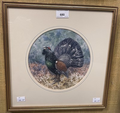 Lot 680 - Brian Rawling (b.1931) 
Capercaillie ...