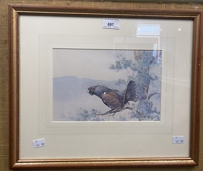 Lot 697 - Jonathan Sainsbury Capercaillie watercolour,...