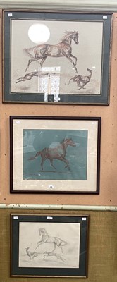 Lot 486 - Juliette McLeod  
Portrait of a running horse ...