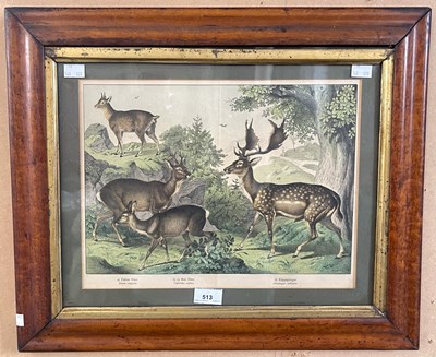 Lot 513 - Late 19th century British School Fallow Deer,...