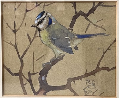 Lot 519A - Ralston Gudgeon RSA RSW (1910-1984) 
Bluetit ...