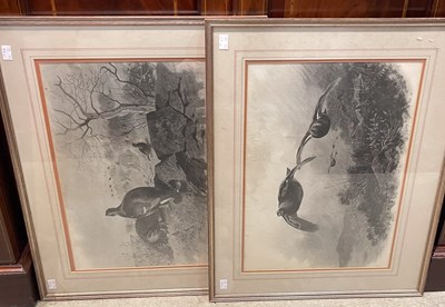 Lot 535 - After Archibald Thorburn Two prints of Grouse...