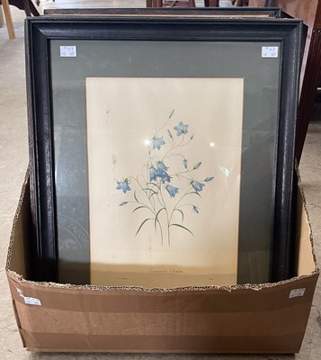 Lot 603 - Seven framed botanical prints after...