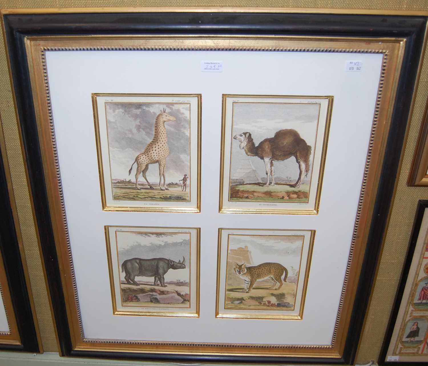 Lot 549 Trowbridge Gallery, a pair of framed animal