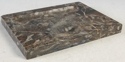 Lot 352 - A late 19th/ early 20th century Fossiliferous...