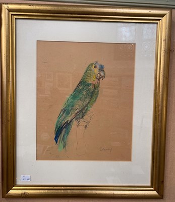 Lot 584 - Noel Slaney RSW (1915-2000) Green Parrot...