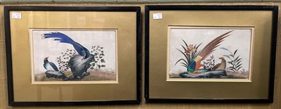 Lot 615 - 19th century Chinese School, two watercolours...