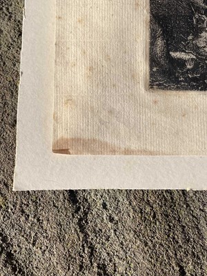 Lot 554 - Graham Sutherland OM (1903-1980) Pecken Wood...