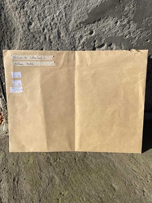 Lot 554 - Graham Sutherland OM (1903-1980) Pecken Wood...