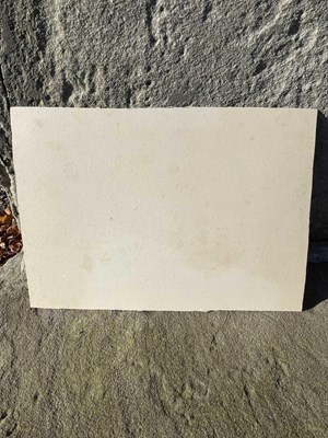 Lot 554 - Graham Sutherland OM (1903-1980) Pecken Wood...