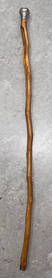 Lot 527A - A vintage Jersey EP mounted Cabbage stem...