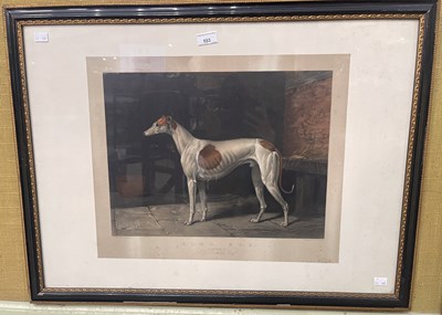 Lot 553 - After William Barraud 
King Cob 
coloured...
