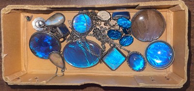Lot 495G - A collection of assorted butterfly wing set...